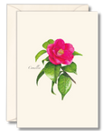 A notecard set featuring an illustration of a pink camellia flower with green leaves, labeled 'Camellia', on a white background with a matching envelope.