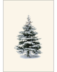 Winter Spruce Notecards