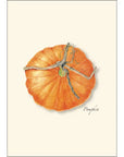 Pumpkin Notecards
