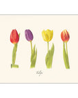 Tulips Notecards
