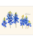 Bluebonnet Notecards