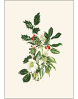 Hellebore & Holly Notecards