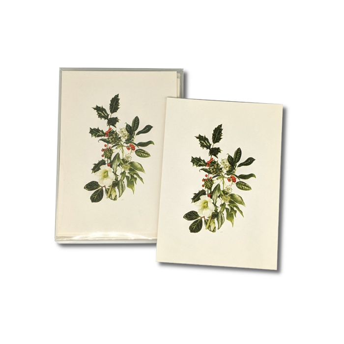 Hellebore &amp; Holly Notecards