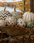 Green Meadow Sprig Pumpkin