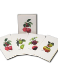 Heirloom Apple Assortment Notecards with Matching Envelopes - Set of 8