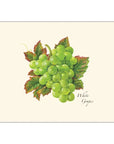 Grape Assortment Notecards with Matching Envelopes
