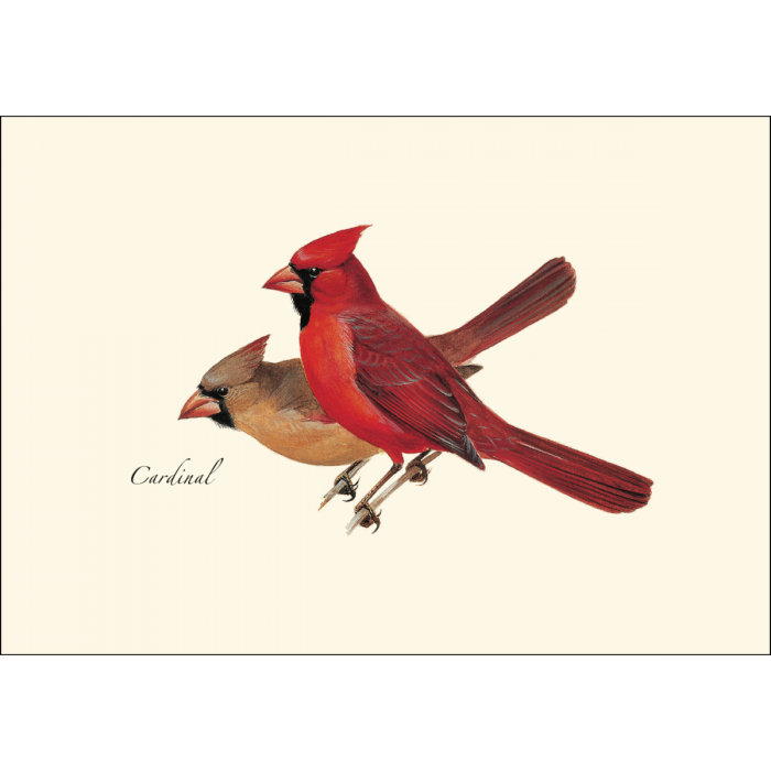 Cardinal Notecards