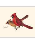 Cardinal Notecards