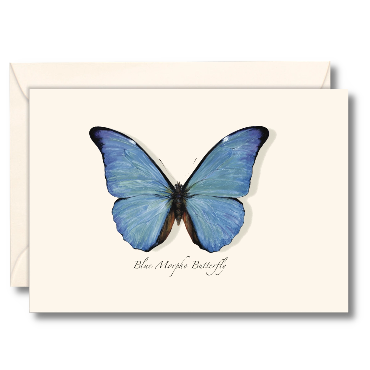 A notecard featuring a blue morpho butterfly design, with a stack of matching envelopes behind it.