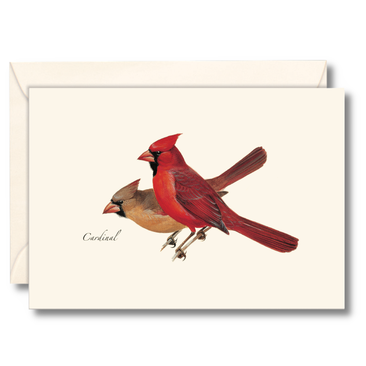 A notecard set featuring an illustration of a red cardinal bird by Roger Tory Peterson.