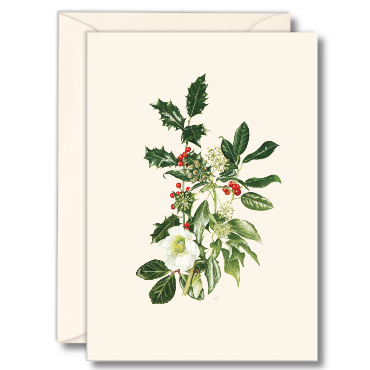 An off-white greeting card with a botanical illustration of holly leaves, white flowers, and red berries, shown with a matching off-white envelope behind it on a light gray background.