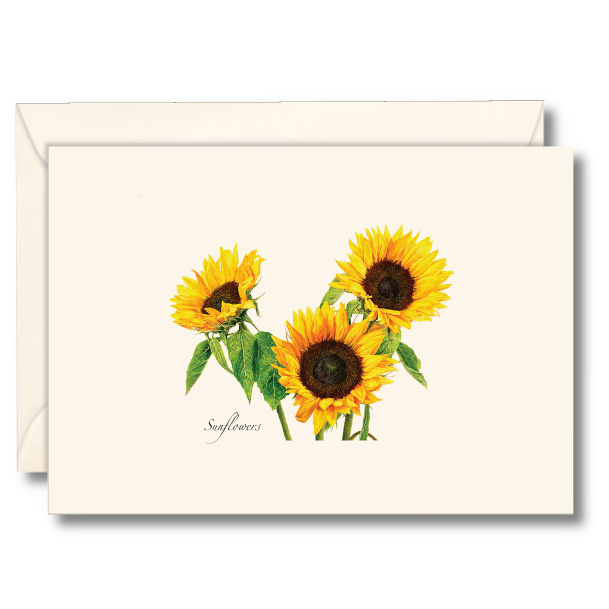 Greeting card with sunflower illustration on a white background