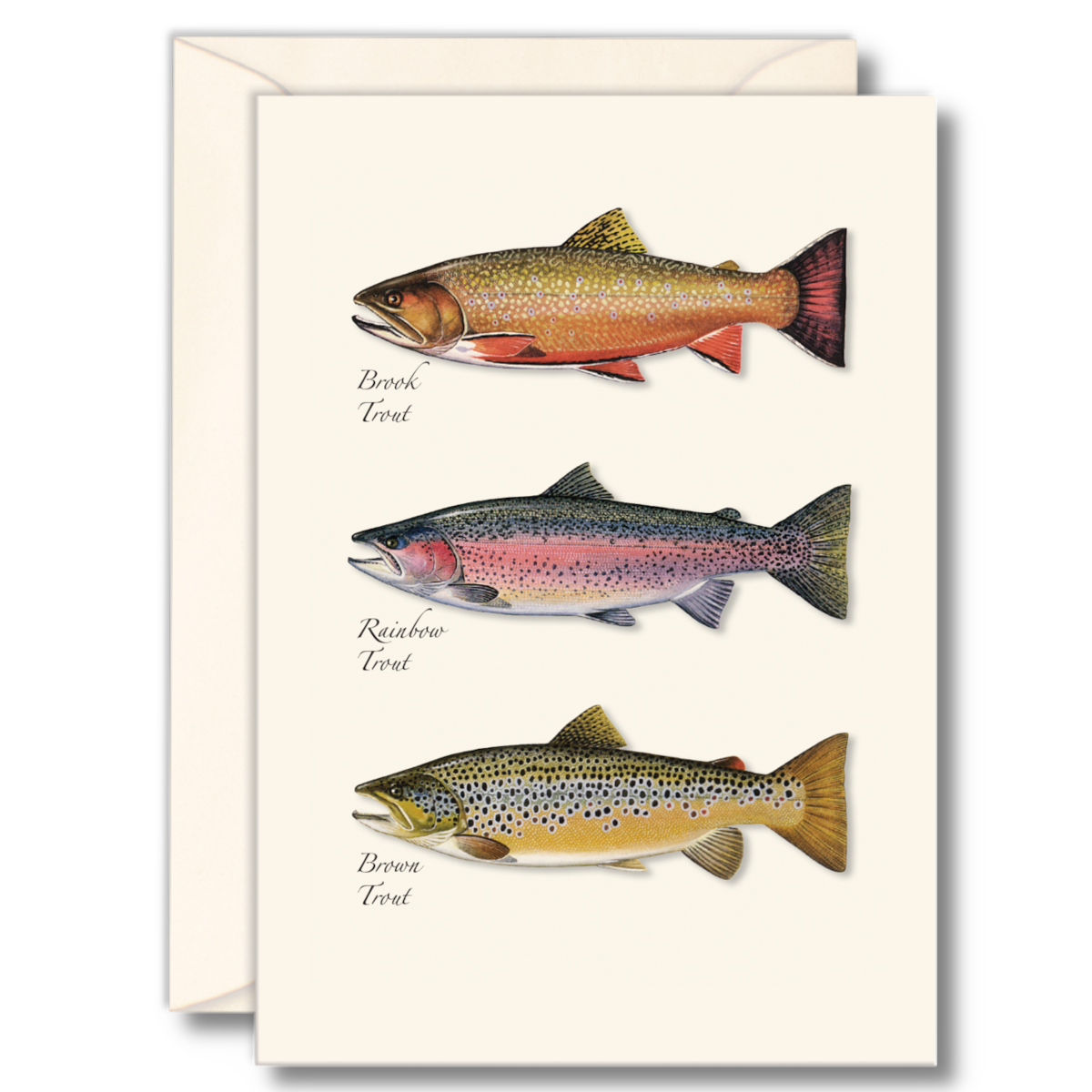 Trout Trio Notecards with Matching Envelopes