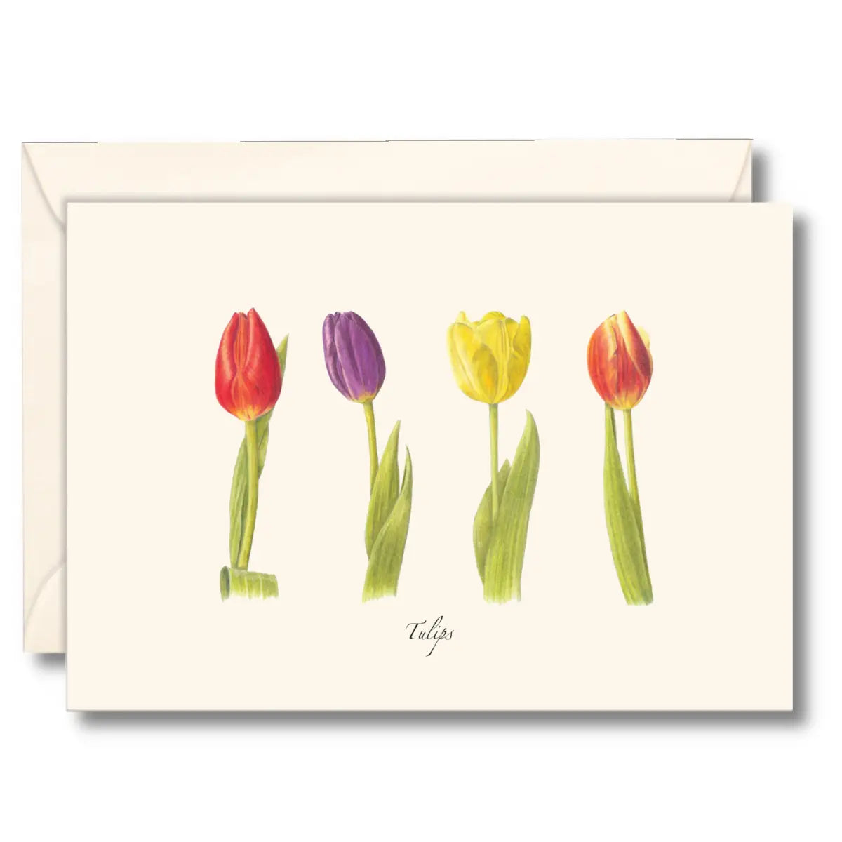 A notecard with a multicolored tulip design and the word 'Tulips' written at the bottom, accompanied by a beige envelope.