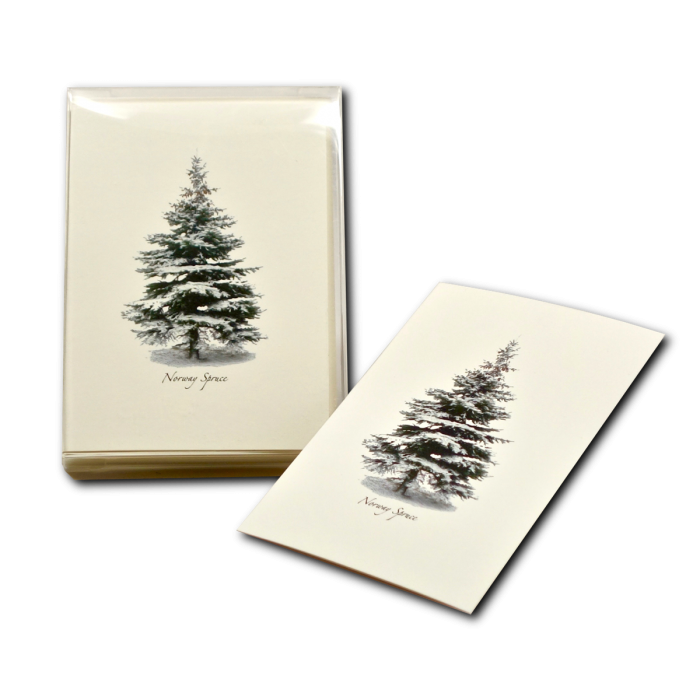 Winter Spruce Notecards