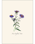 Meadow Wildflower Assortment Notecards with Matching Envelopes - Set of 8