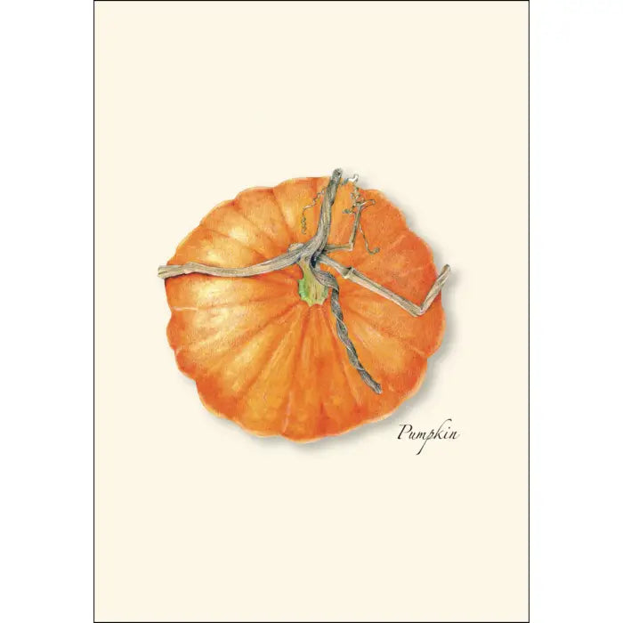 Pumpkin Notecards