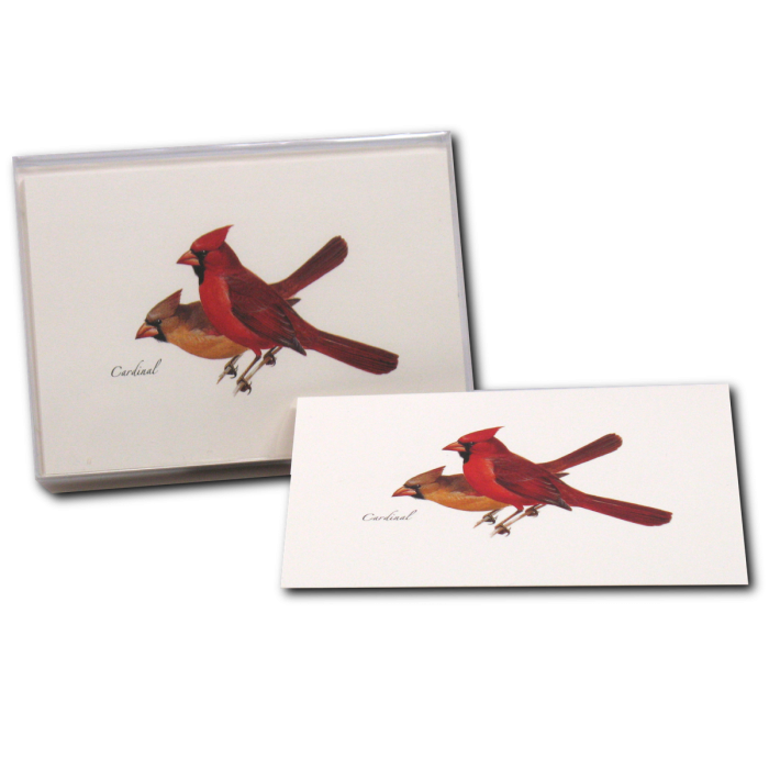 Cardinal Notecards