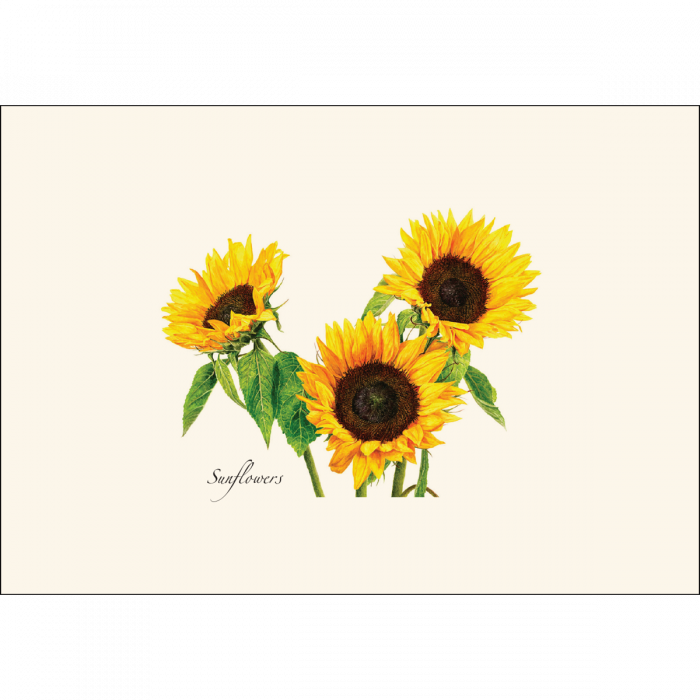 Sunflowers Notecards