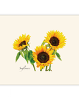 Sunflowers Notecards