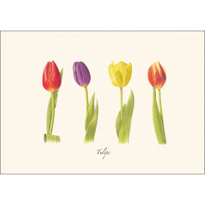 Tulips Notecards