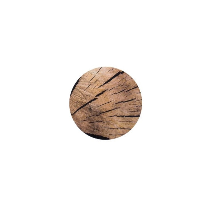 Salad Plate Paper Accent