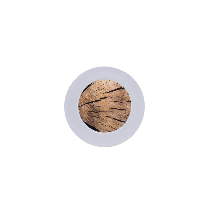 Salad Plate Paper Accent